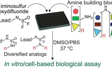 Sulfur(VI) Fluoride Exchange (SuFEx)-Enabled High-Throughput Medicinal Chemistry