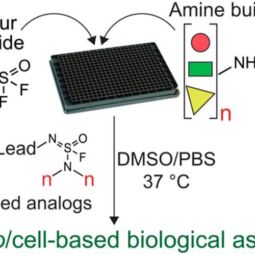 Sulfur(VI) Fluoride Exchange (SuFEx)-Enabled High-Throughput Medicinal Chemistry