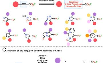 Diversity oriented clicking delivers β-substituted alkenyl sulfonyl fluorides as covalent human neutrophil elastase inhibitors