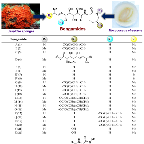 The Development of the Bengamides as New Antibiotics against Drug-Resistant Bacteria