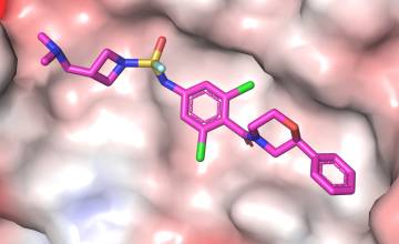 Ultrapotent influenza hemagglutinin fusion inhibitors developed through SuFEx-enabled high-throughput medicinal chemistry