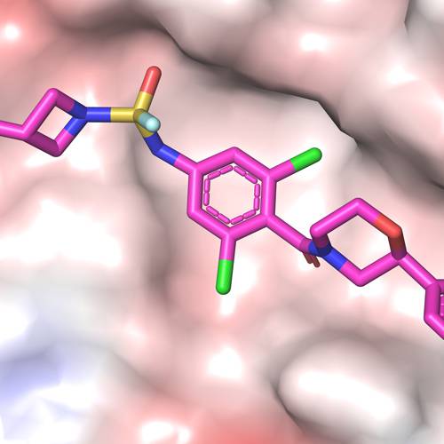 Ultrapotent influenza hemagglutinin fusion inhibitors developed through SuFEx-enabled high-throughput medicinal chemistry